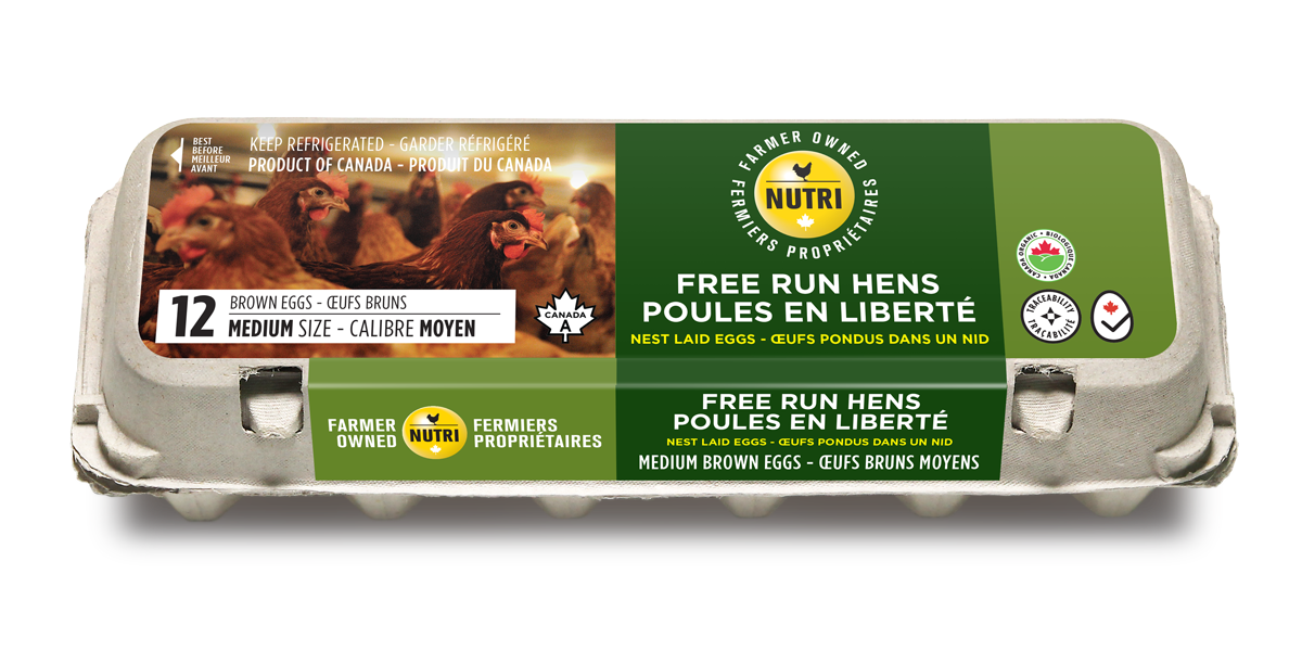 12 x Free Run Hens Large Brown Eggs
