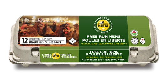 12 x Free Run Hens Large Brown Eggs