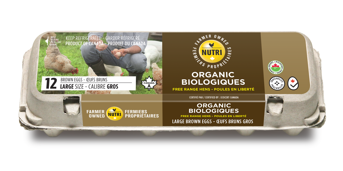 12 x Organic Biologique Large Brown Eggs