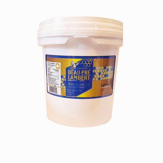Pure Natural Honey Unpasteurized Blueberry 3 Kg MK
