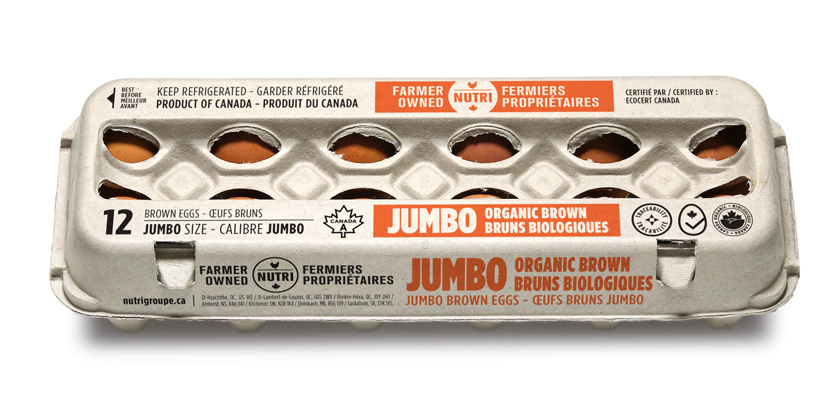 12 x Jumbo Brown Eggs