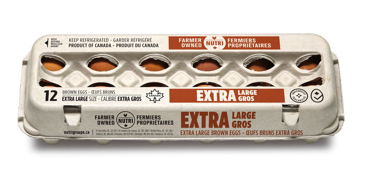 Extra Large Size Free-Range Brown Eggs