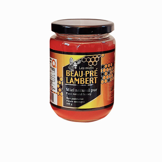 Pure Natural Honey Non Pasteurized Wild Flowers 500 Gr MK