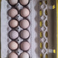 12 œufs de pintade Nutri-Œuf | Nutri-Oeuf 12 guinea fowl eggs