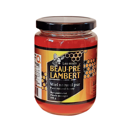 Pure Natural Honey Non Pasteurized Wild Flowers 500 Gr MK