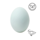 Le Capitaine certified organic, kosher free-range duck eggs, dozen