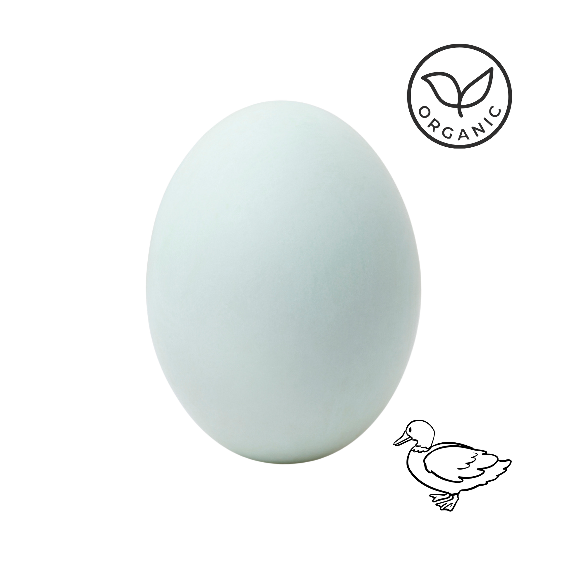 Le Capitaine certified organic, kosher free-range duck eggs, dozen
