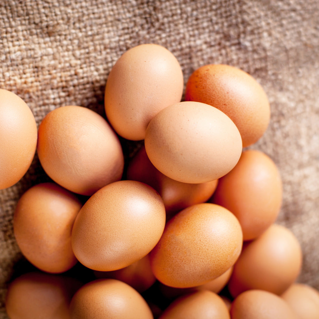12 x Free Run Hens Large Brown Eggs