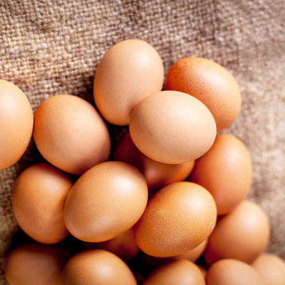 Le Capitaine extra-large brown eggs, dozen - on display at Jean-Talon Market in Montreal