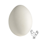 12 x Double Yolk Extra Large White Egg