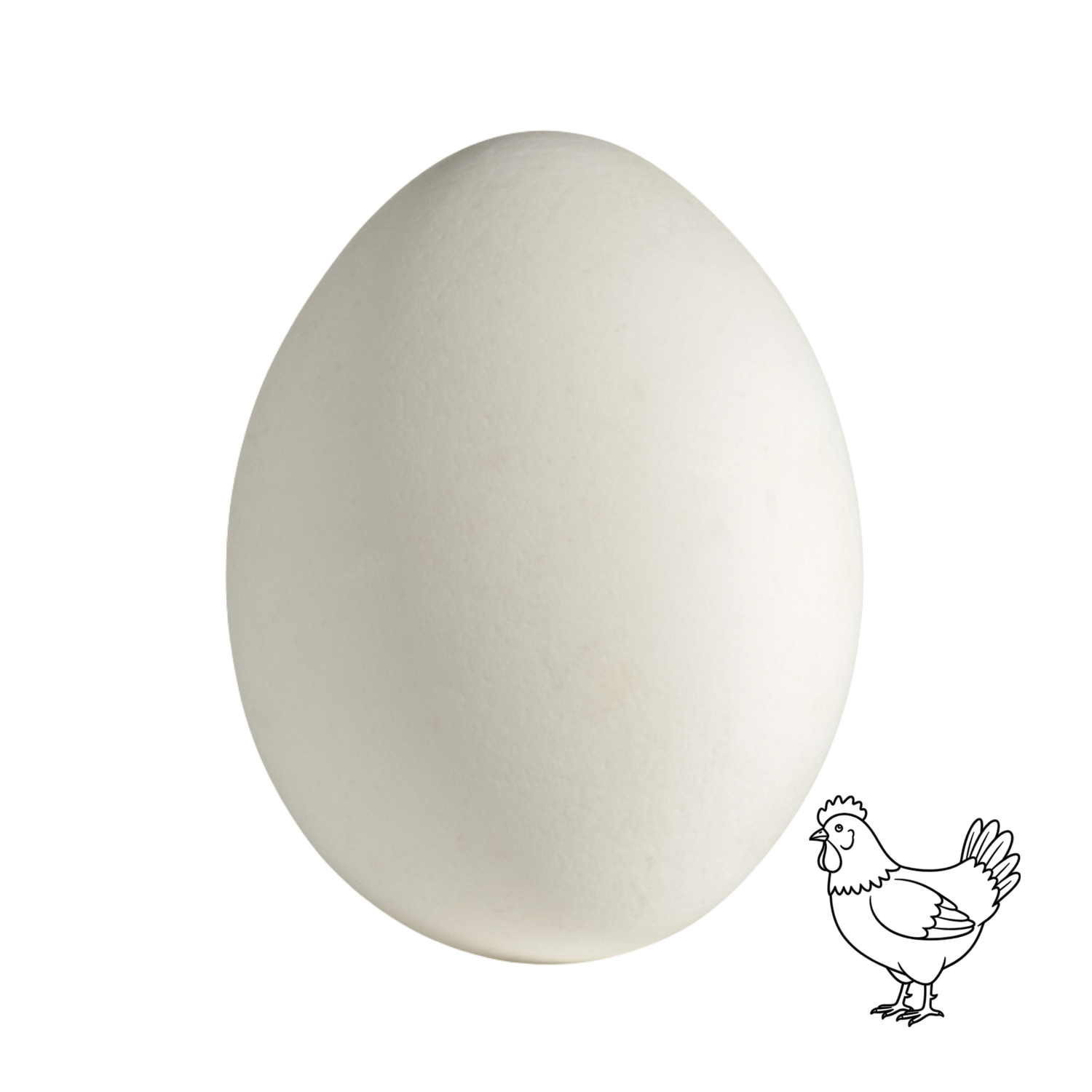 Le Capitaine extra-large white eggs, dozen
