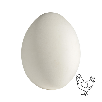 Le Capitaine extra-large white eggs, dozen