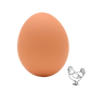12 x Free Run Hens Large Brown Eggs