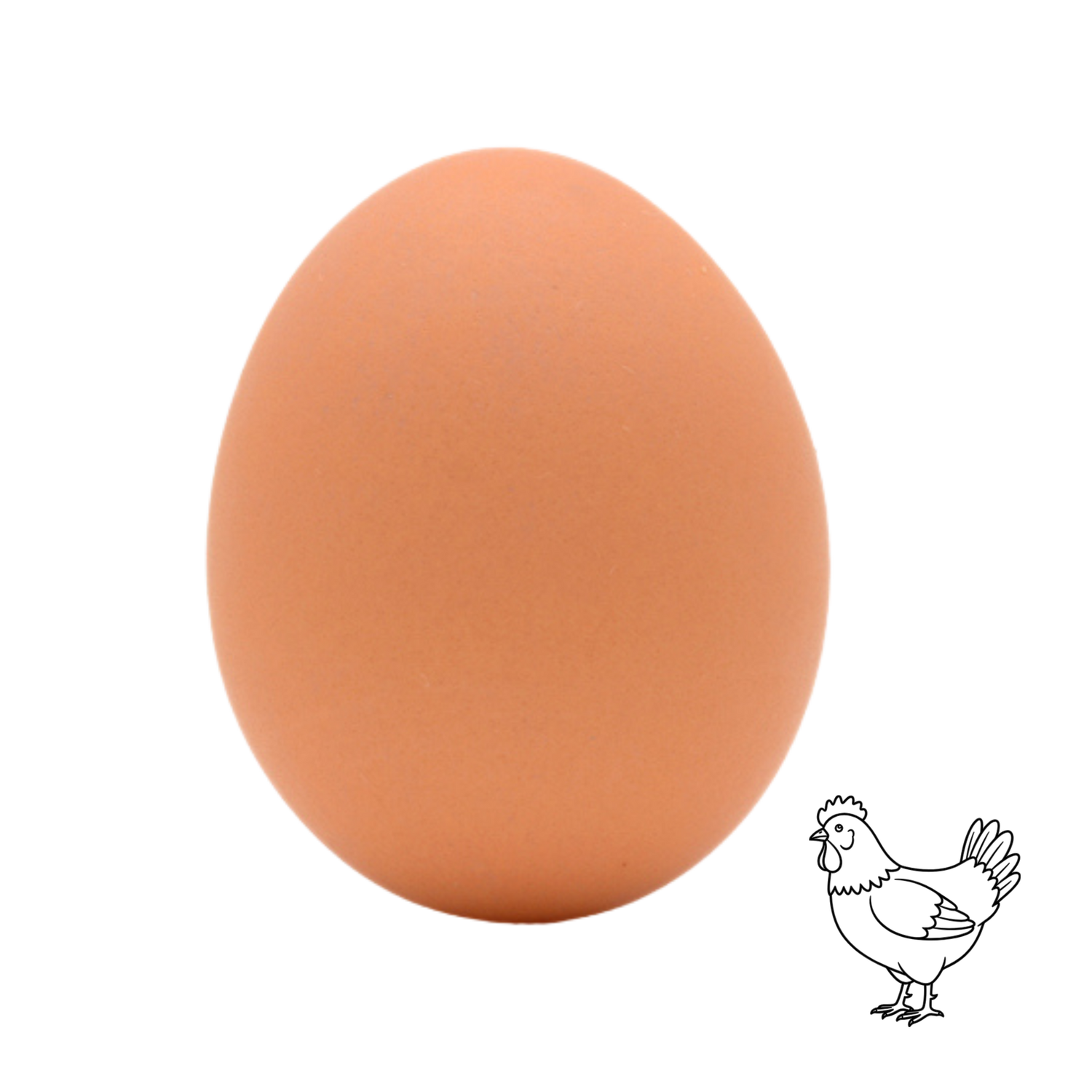 Le Capitaine extra-large brown eggs, dozen