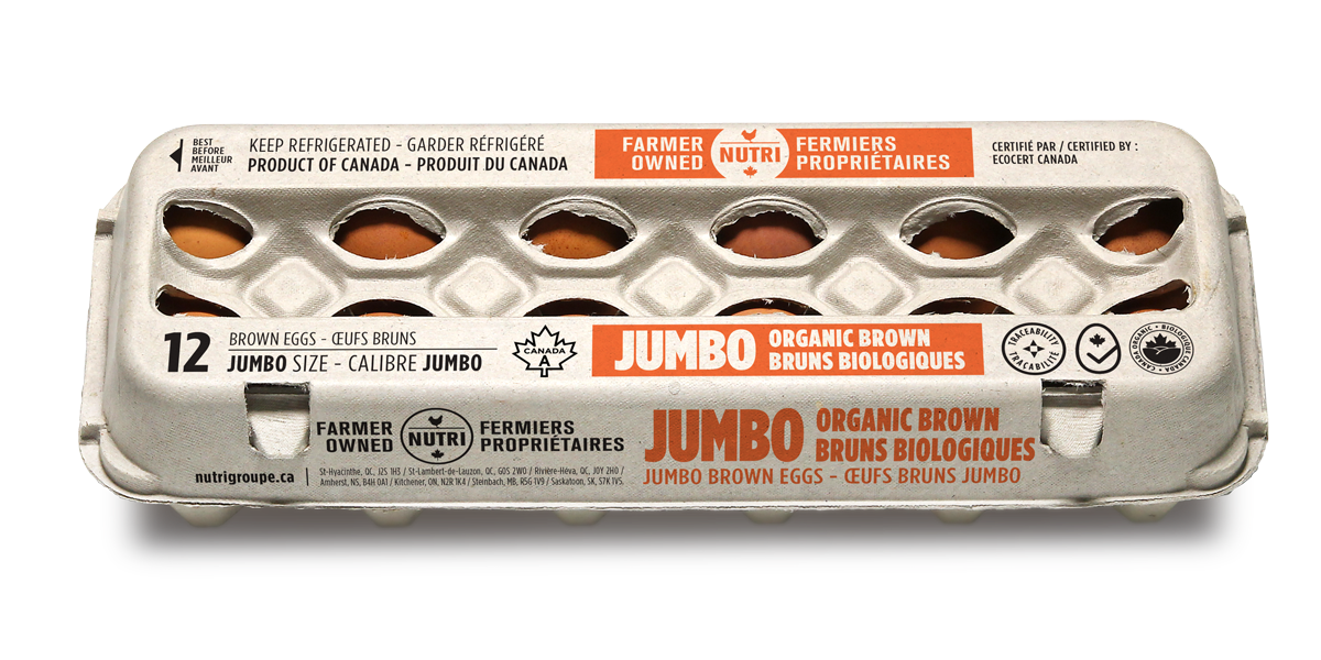 12 x Jumbo  Brown Eggs